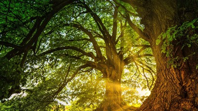 Gottesdienst_in_der_Natur.jpg